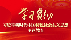 學習貫徹習近平新時代中國特色社會主義思想主題教育